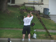 mailbox fell down storm