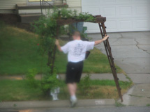 mailbox fell down storm